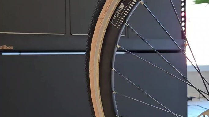 Calibox Heckauszug für Velos